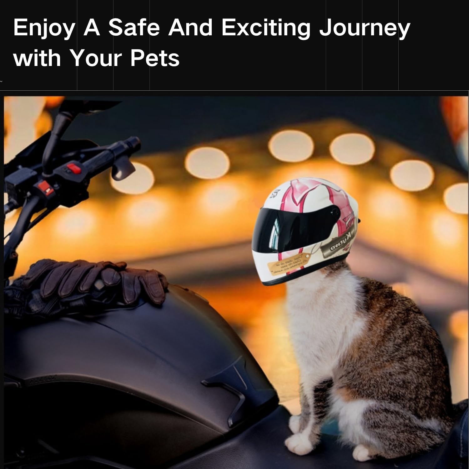 Cat Motorcycle Helmet Full Fac - огляд і ціна Motorcycle Gear Dogs