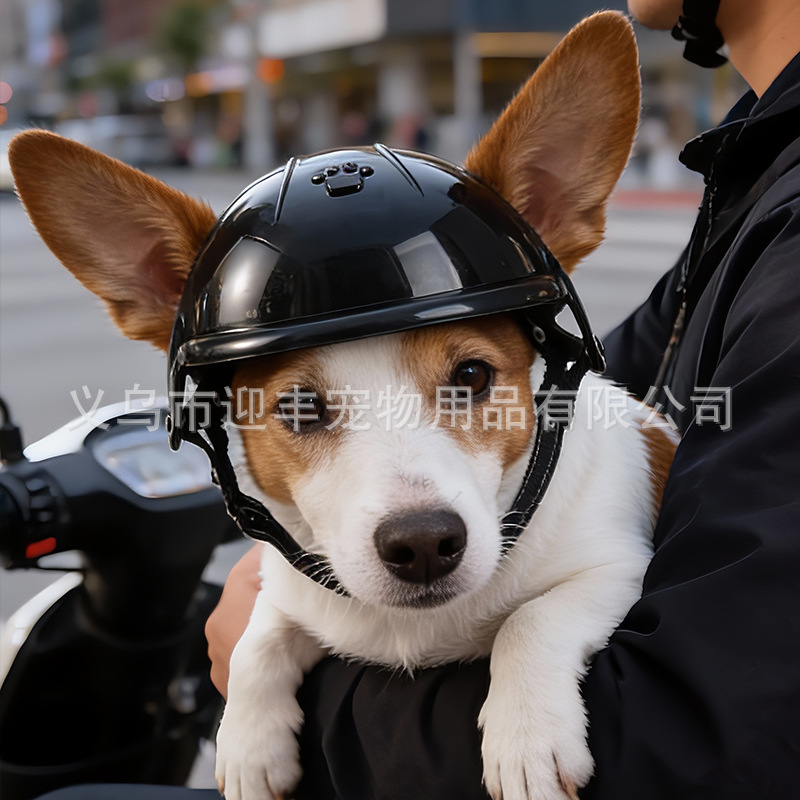 Pink Motorcycle Pet Helmet wit - огляд і ціна Motorcycle Gear Dogs